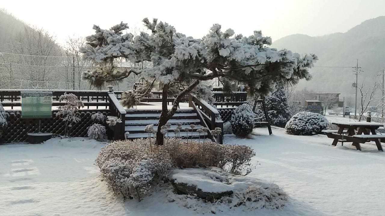 Forest Of Color Pension Hongcheon Eksteriør bilde