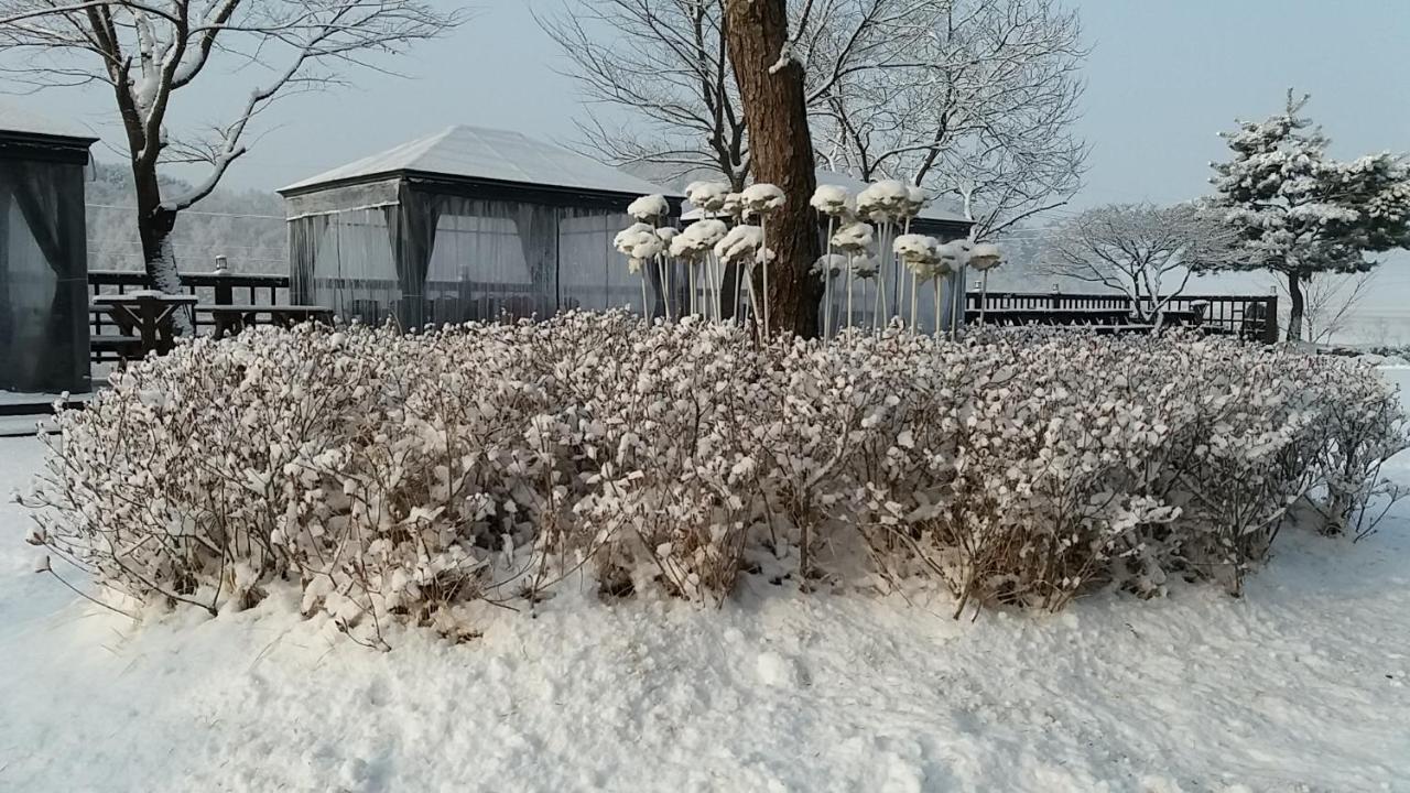 Forest Of Color Pension Hongcheon Eksteriør bilde